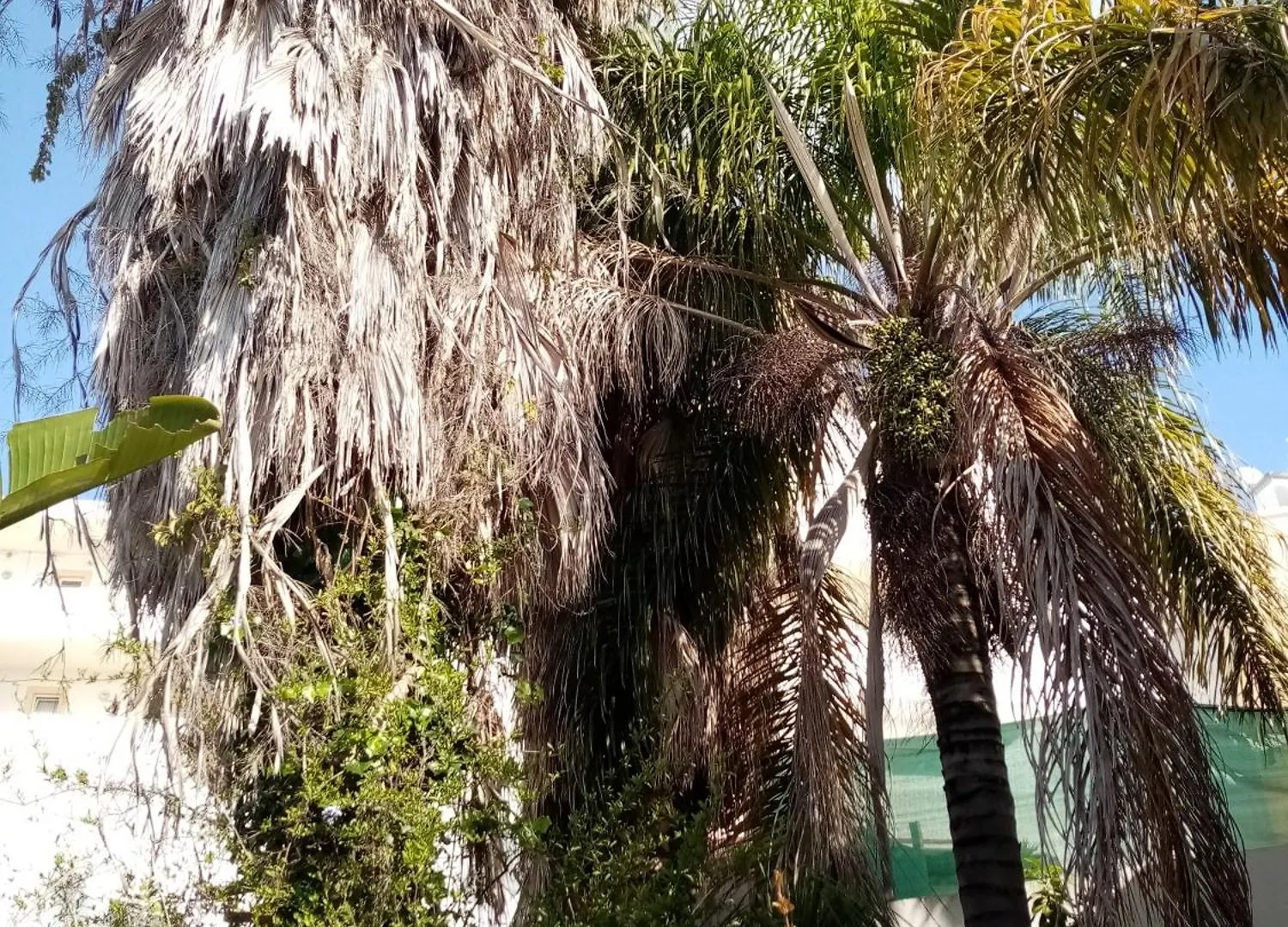 Casa Rustica Βίλα Olhão